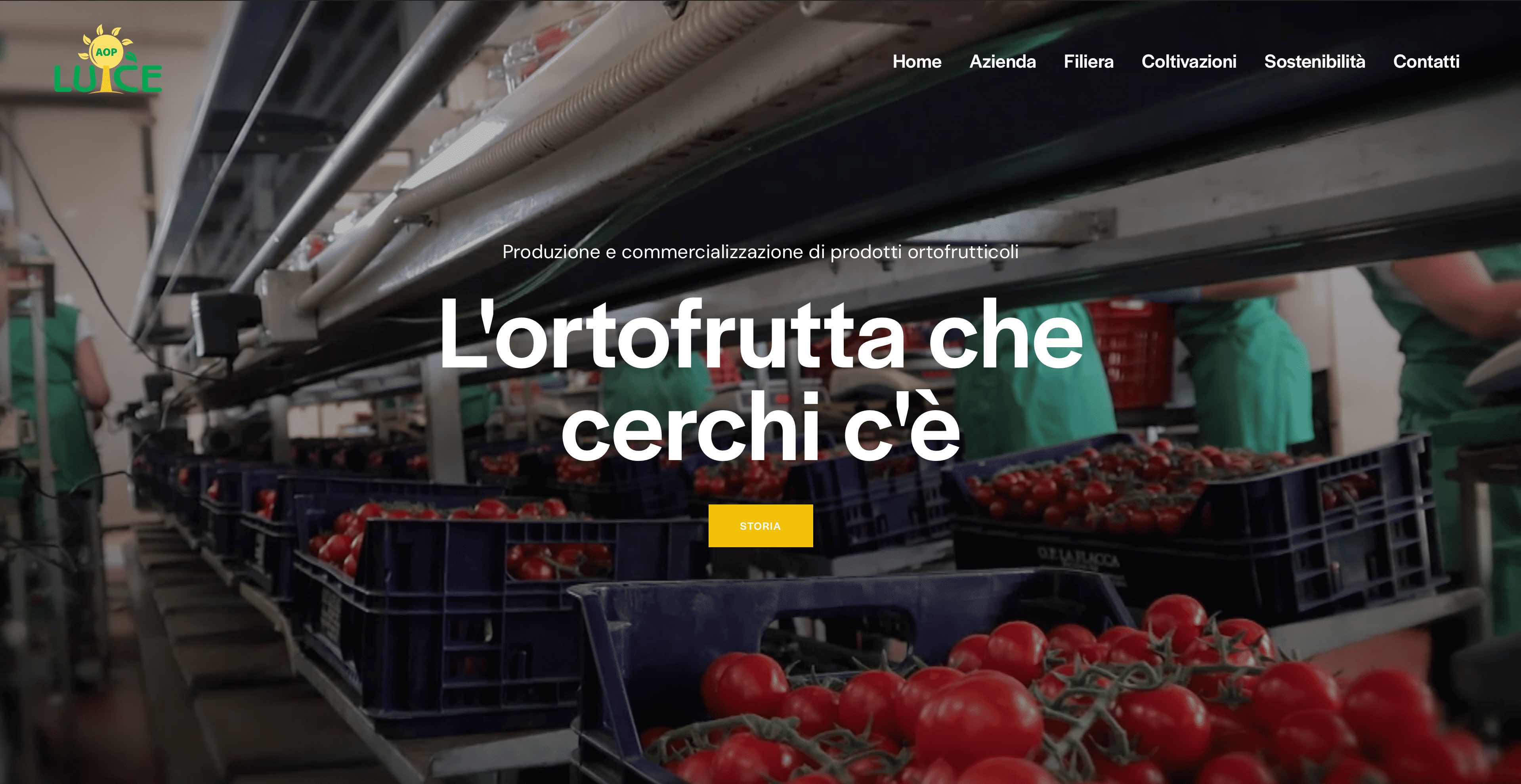 Sito web realizzato 4