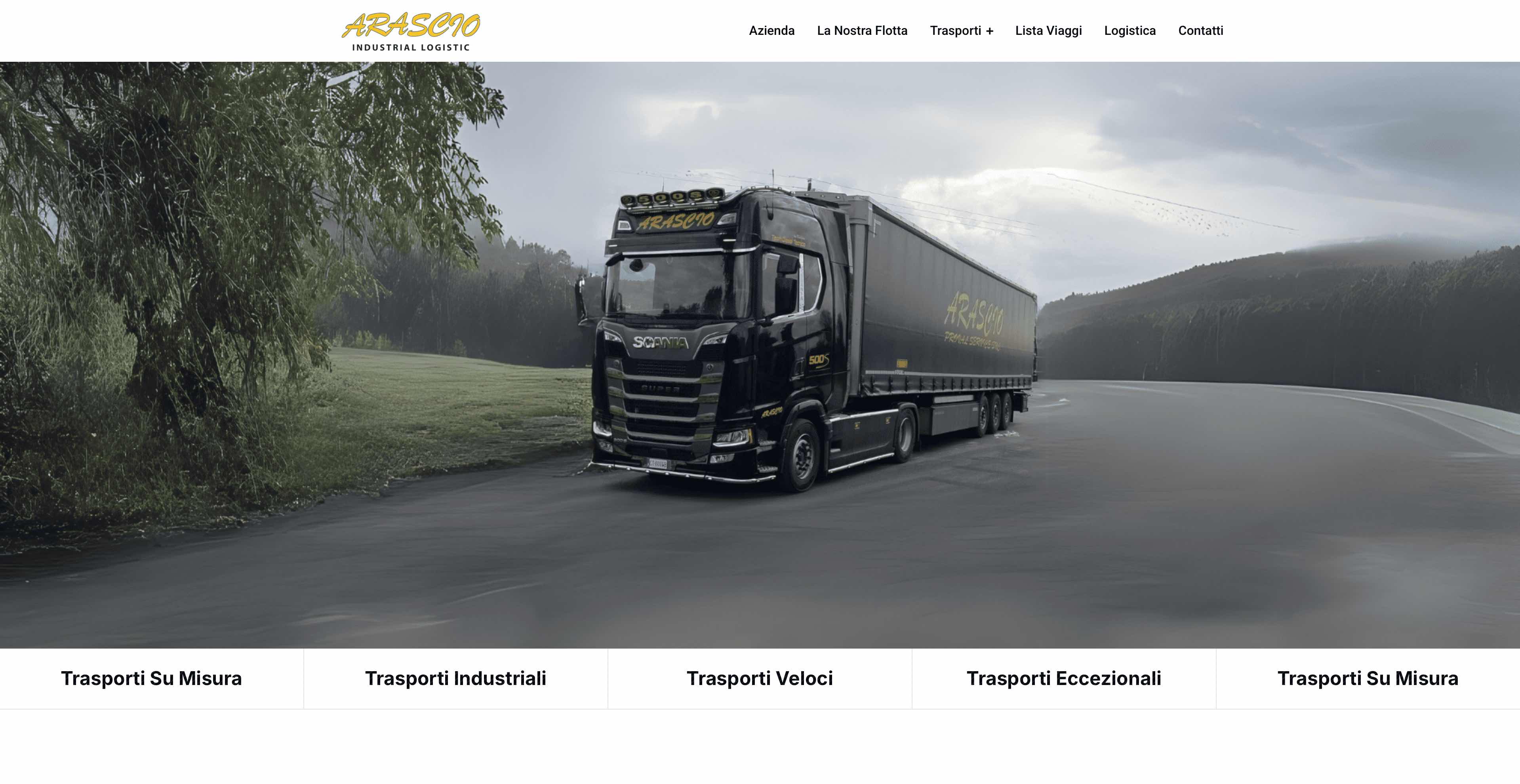 Sito web realizzato 7